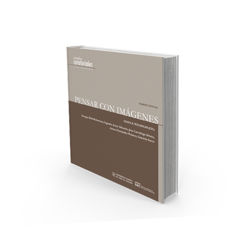 Pensar con imágenes